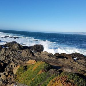 Meet your Posher, Jesse